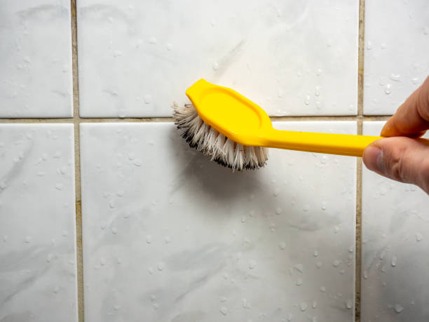Best Local Mold Removal Service  in Durham, NC