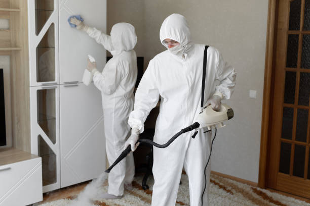 Best Residential Mold Removal  in Durham, NC