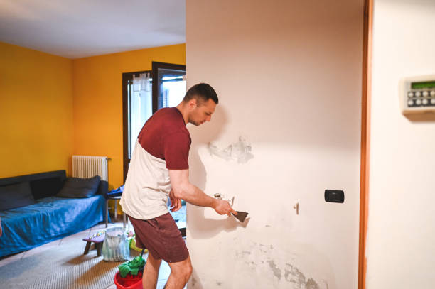 Best Professional Mold Removal  in Durham, NC