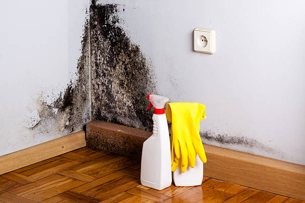 Best Crawl Space Mold Removal  in Durham, NC